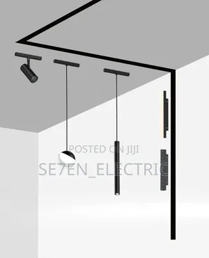 Track Light Magnetic System