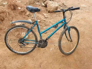A Bicycle Few Months Used in Perfect Condition