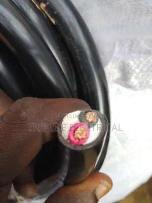 10mm 2 Core Flexible Cable