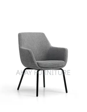 Lounge Or Reception Chairs