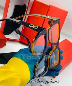 Salvatore Ferragamo Square Glasses Pc Frame Glasses
