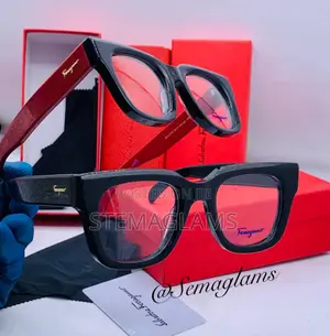 Salvatore Ferragamo Square Glasses Pc Frame Glasses