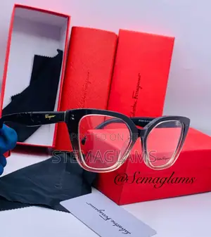Salvatore Ferragamo Square Glasses Pc Frame Glasses