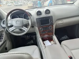 Mercedes-Benz M Class 2010 Silver