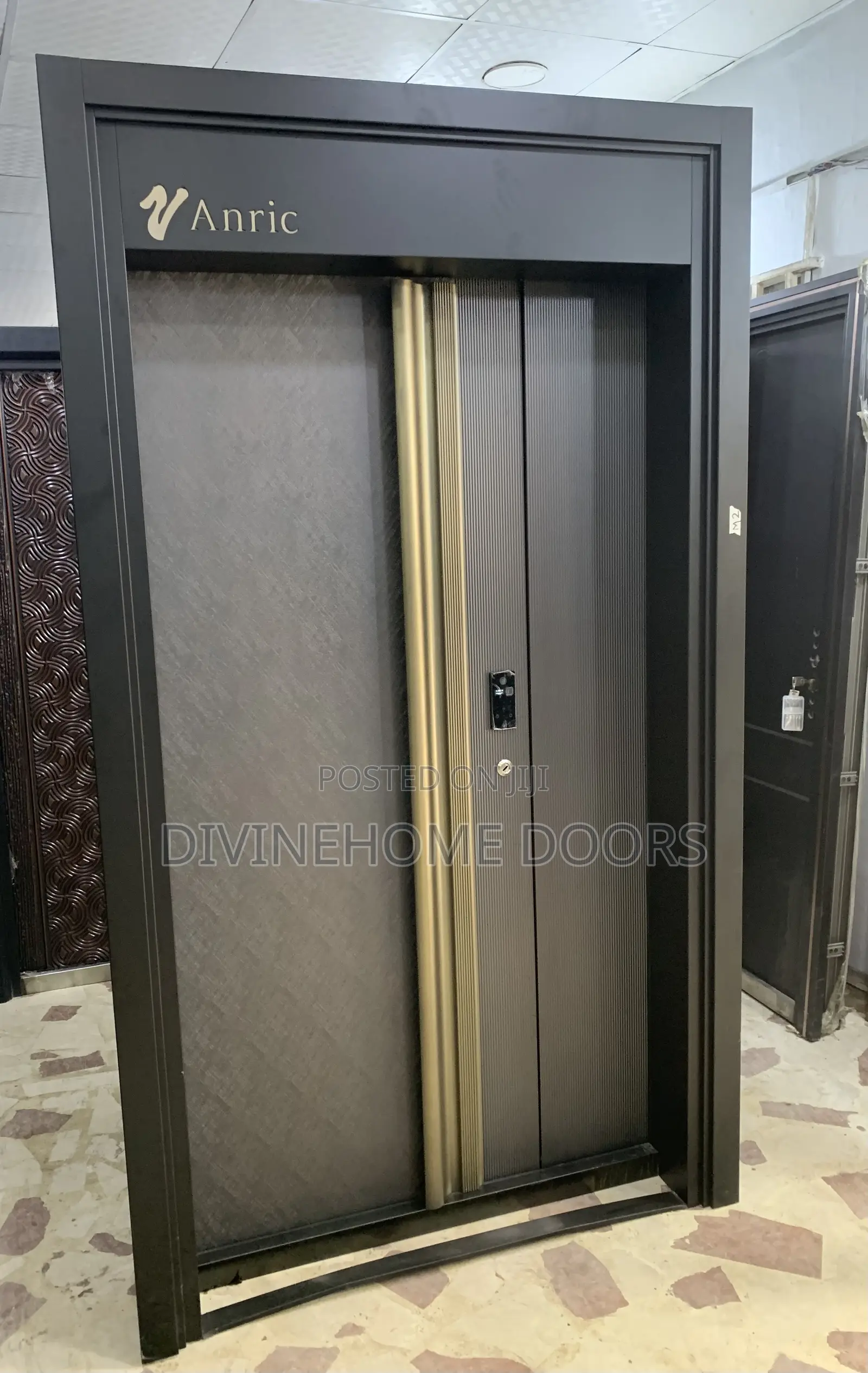 High Security Entrance Door