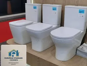 European Standard Toilet