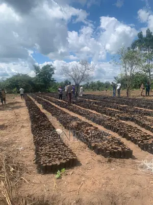 Agroshare Palm Oil Farmland