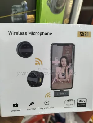 Wireless Mic
