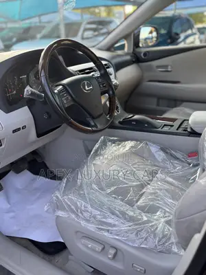 Lexus RX 2011 Gray