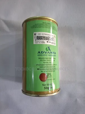 Red Creole Advanta Onions 50g