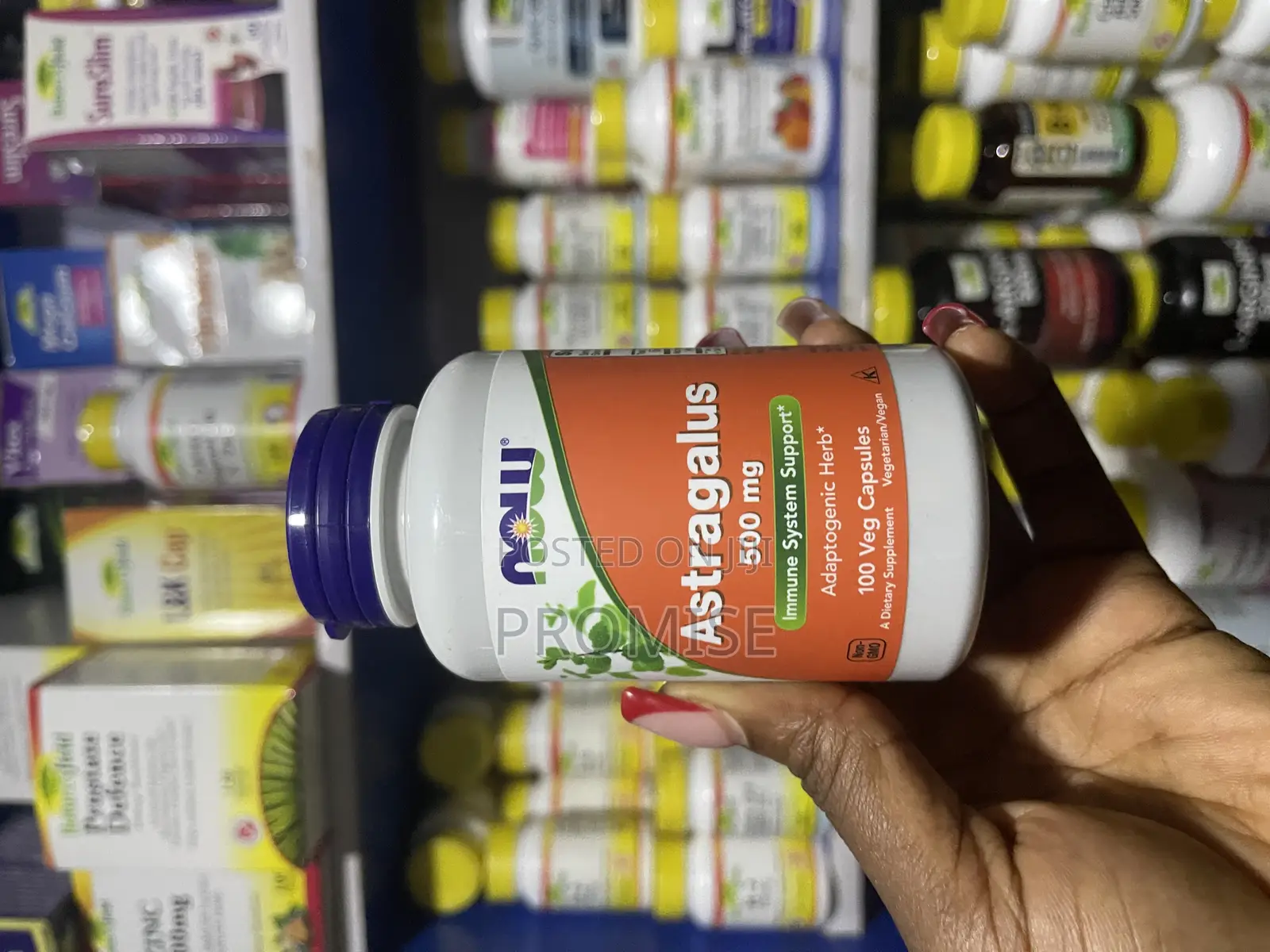 Now Astragalus 500mg