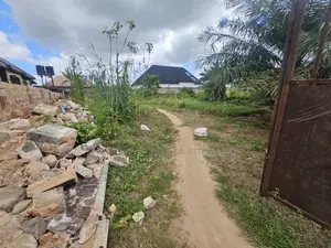 50 by 130 Land in Amagba(Developed Area)