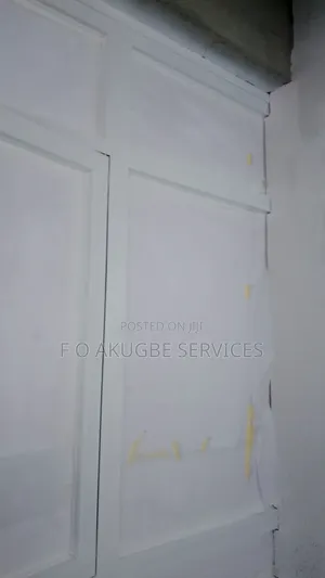 Professional Spray Painter
