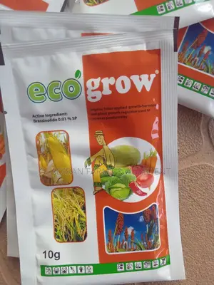 Ecogrow Brassinolide