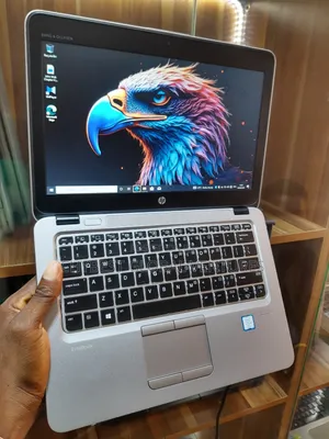 Laptop HP EliteBook 820 G3 8GB Intel Core I7 SSD 256GB