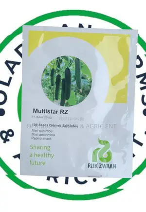 Multistar Rz F1 Mini Cucumber