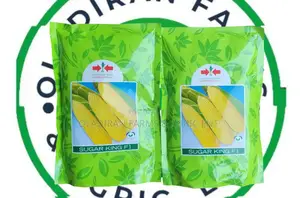 Sugarking F1 Sweetcorn
