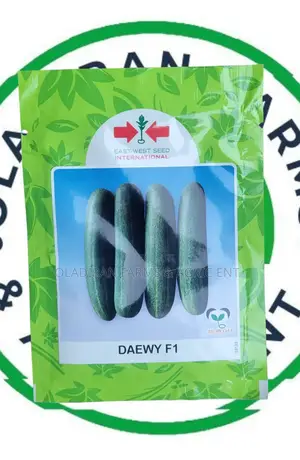 Daewy F1 Cucumber