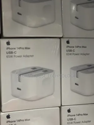 iPhone (Apple )Charger