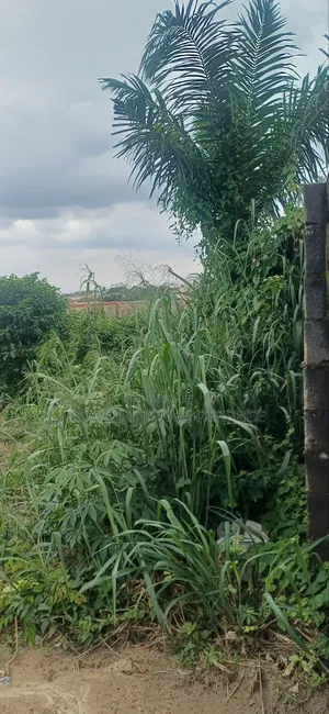 For Sale Full Plot Land at Kajola Estate Igbolomu, Agric Ikorodu Lagos