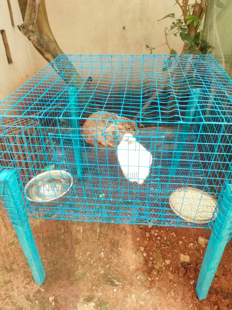 Mobile Cage for Rabbit and Cat