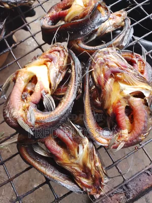 Oven Dried Catfish
