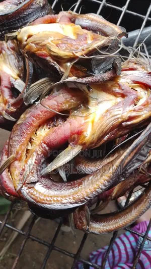 Oven Dried Catfish