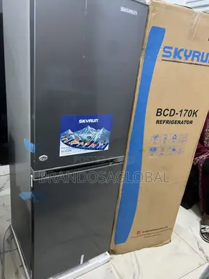 Skyrun 170l Refrigerator – Sleek Double Door With Freezer