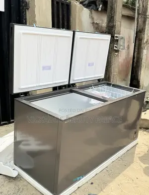 Hisense 500 Liters Double Door Chest Freezer Silver | Frz Fc 66dd