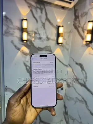 Apple iPhone 15 Pro 256 GB Silver