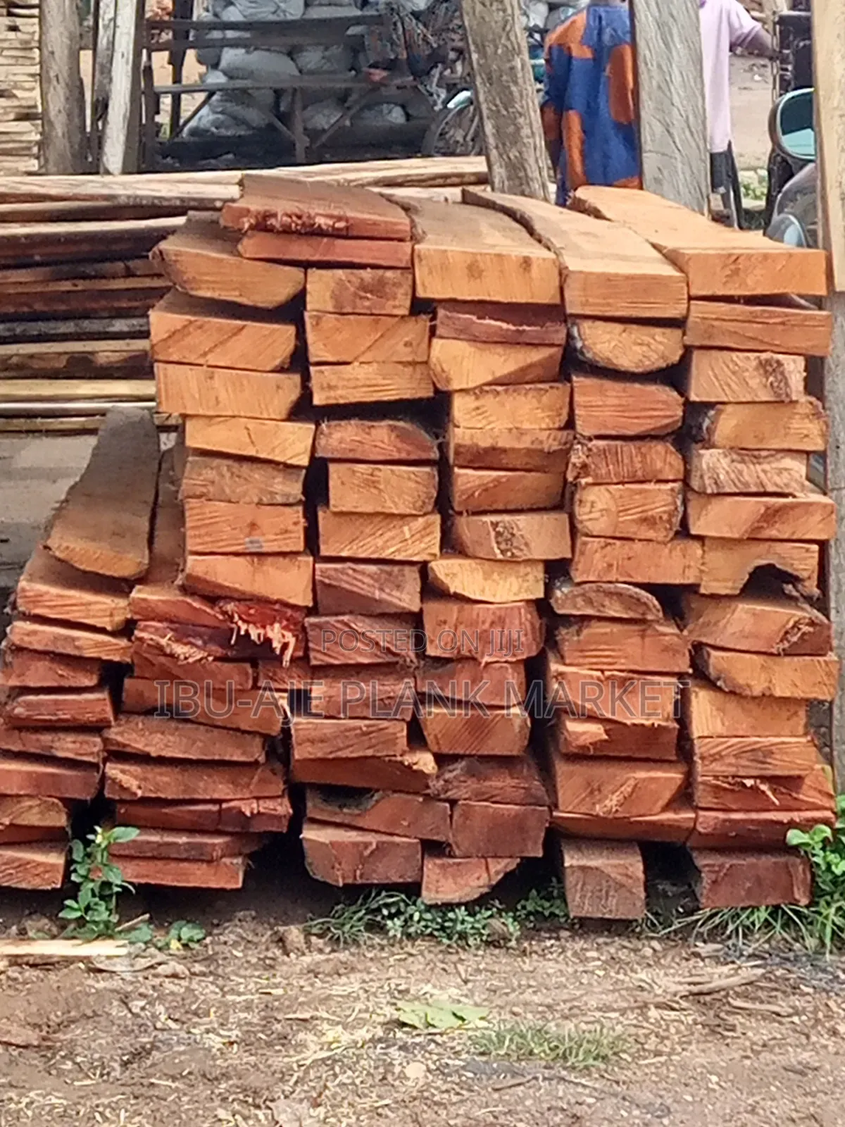 Obi/ Kola Nut Wood