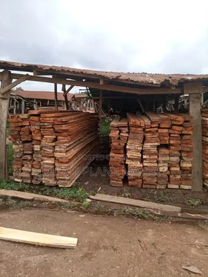 Obi/ Kola Nut Wood