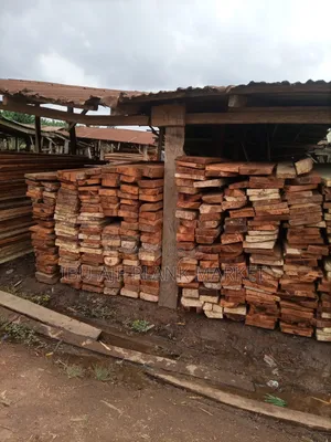 Obi/ Kola Nut Wood