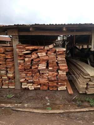 Obi/ Kola Nut Wood