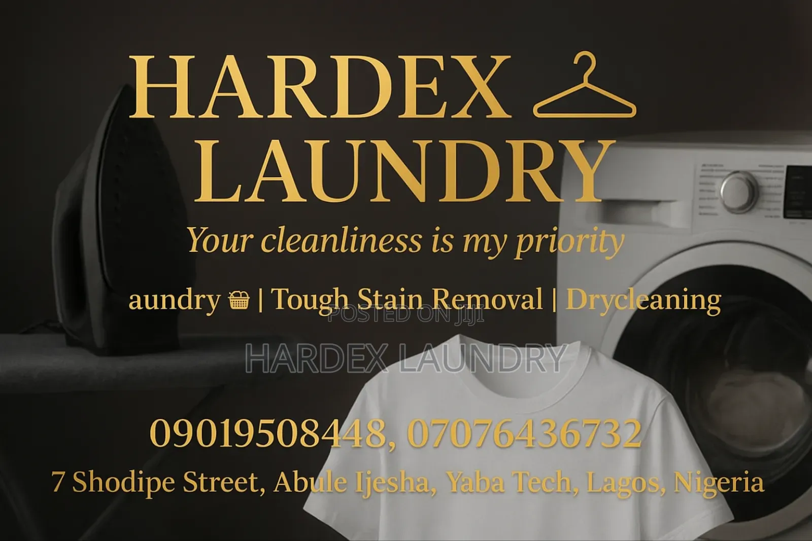 Professional Laundry Dry Cleaning