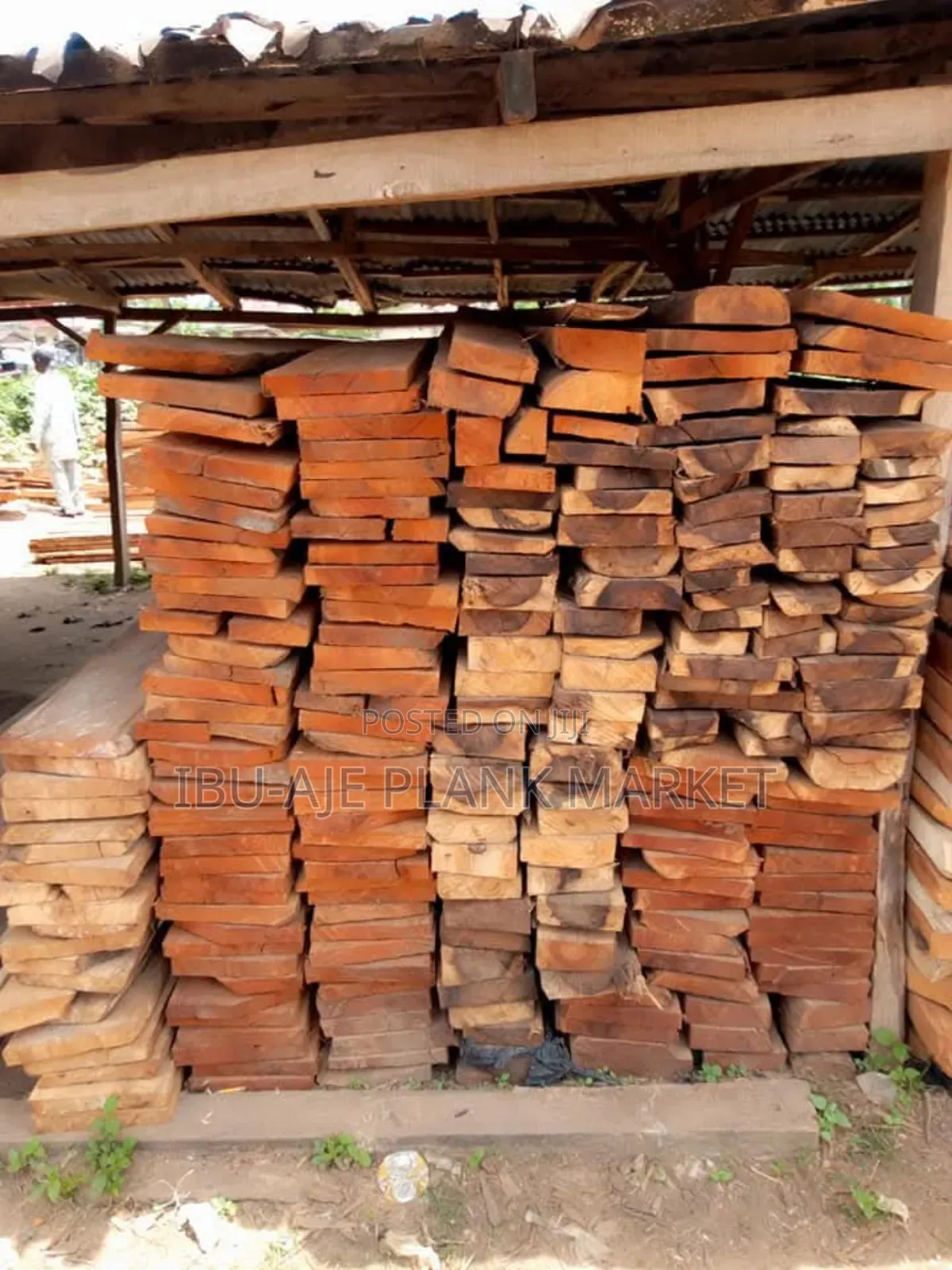 Cassia Wood for Roofing