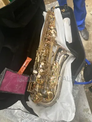 Professional Selmar Alto Saxophone