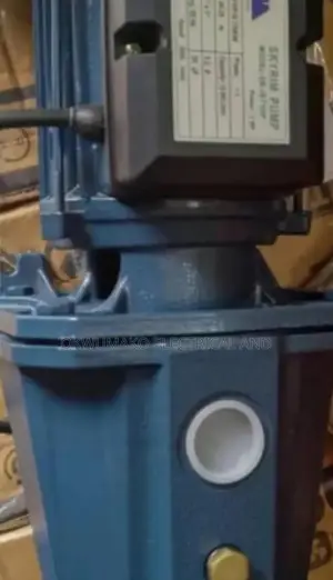1hp Surface Pump Original