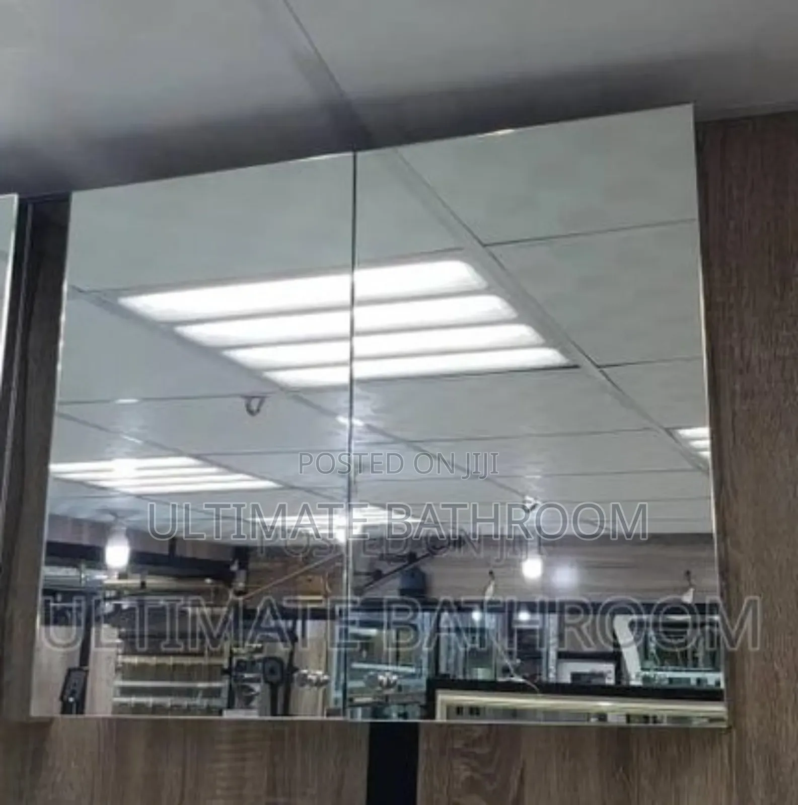 Stainless Double Cabinet Mirror Without Light