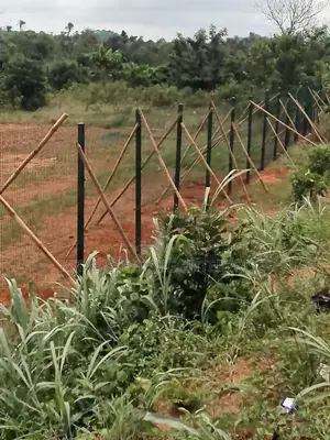 Finger Type Perimeter Fencing for Recreation Center