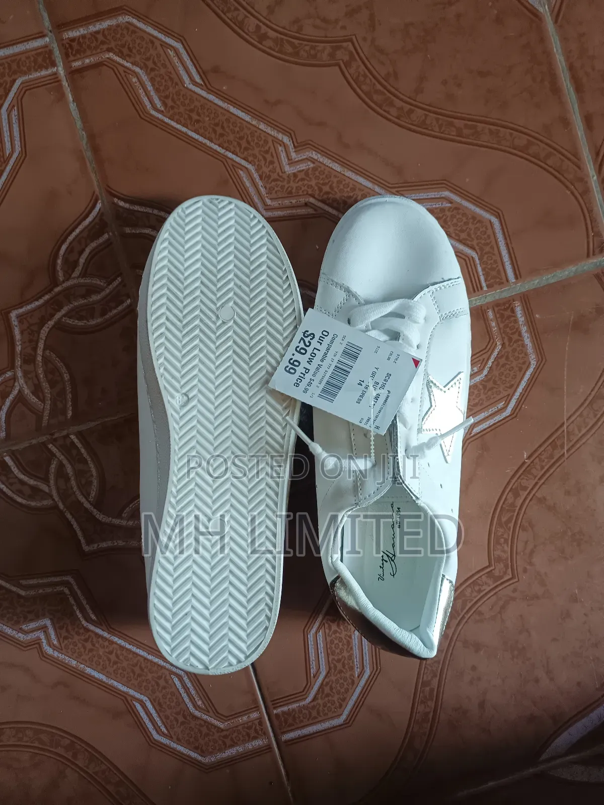 Foreign Puma Canvas