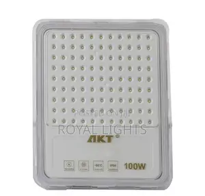 100 Watts Akt Flood Light