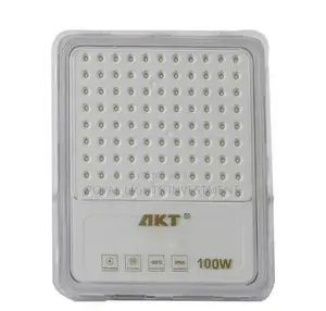 100 Watts Akt Flood Light