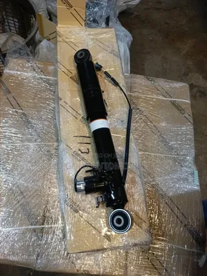 Rear Shock Absorber Rx350 2018-2021 Fsport