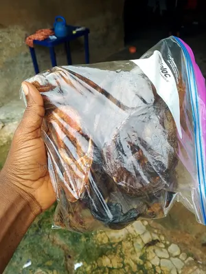 Oven Dry Catfish 1kg