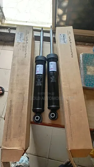 Rear Heavy Duty Shock Santafe 2020 - 2023