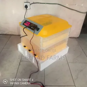 Solar Incubator/Mini Incubator/100 Eggs Capacity