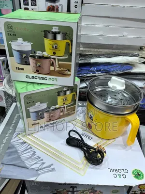 Mini Electric Cooker