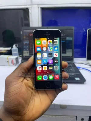 Apple iPhone SE 32 GB Gray
