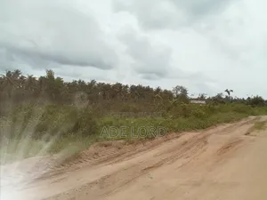 Landed Property 60/120